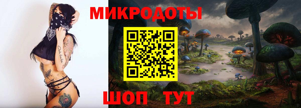 Псилоцибиновые грибы Psilocybine cubensis Норильск