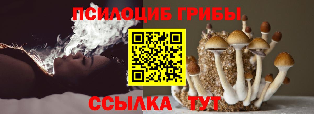 Галлюциногенные грибы мицелий  Вход с VPN  Норильск  Галлюциногенные грибы Cubensis 